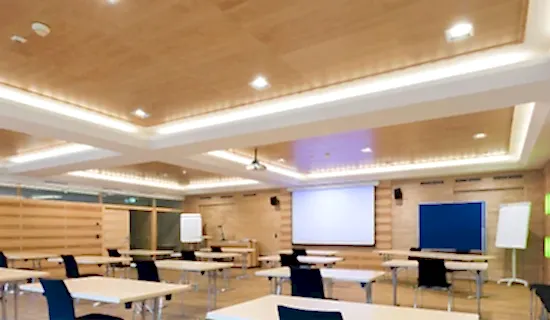 Akustik Ahşap Tavan Sistemleri