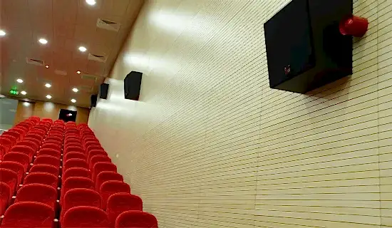 Akustik Ahşap Duvar Sistemleri