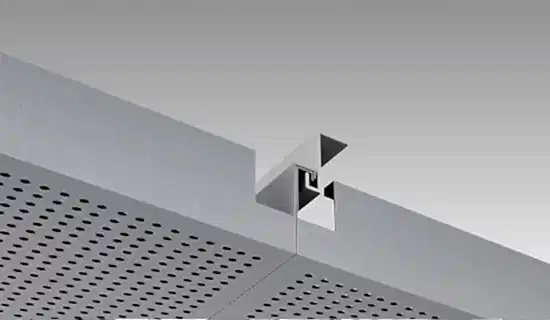 Kancalı Gizli Taşıyıcılı Sistemler