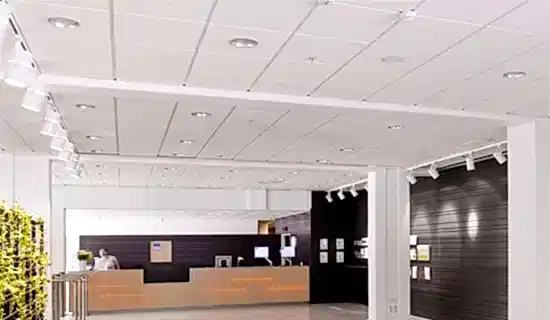 Rockfon Kayayünü Asma Tavan koral