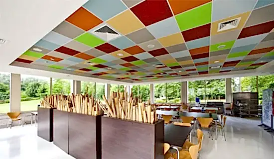 Rockfon Kayayünü Asma Tavan Color All