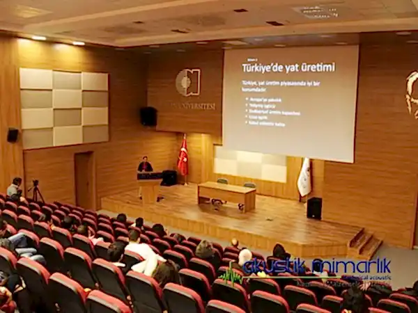 Konferans Salonu Akustik Panel